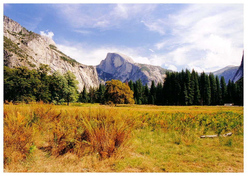 07 - Yosemite NP (0).jpg